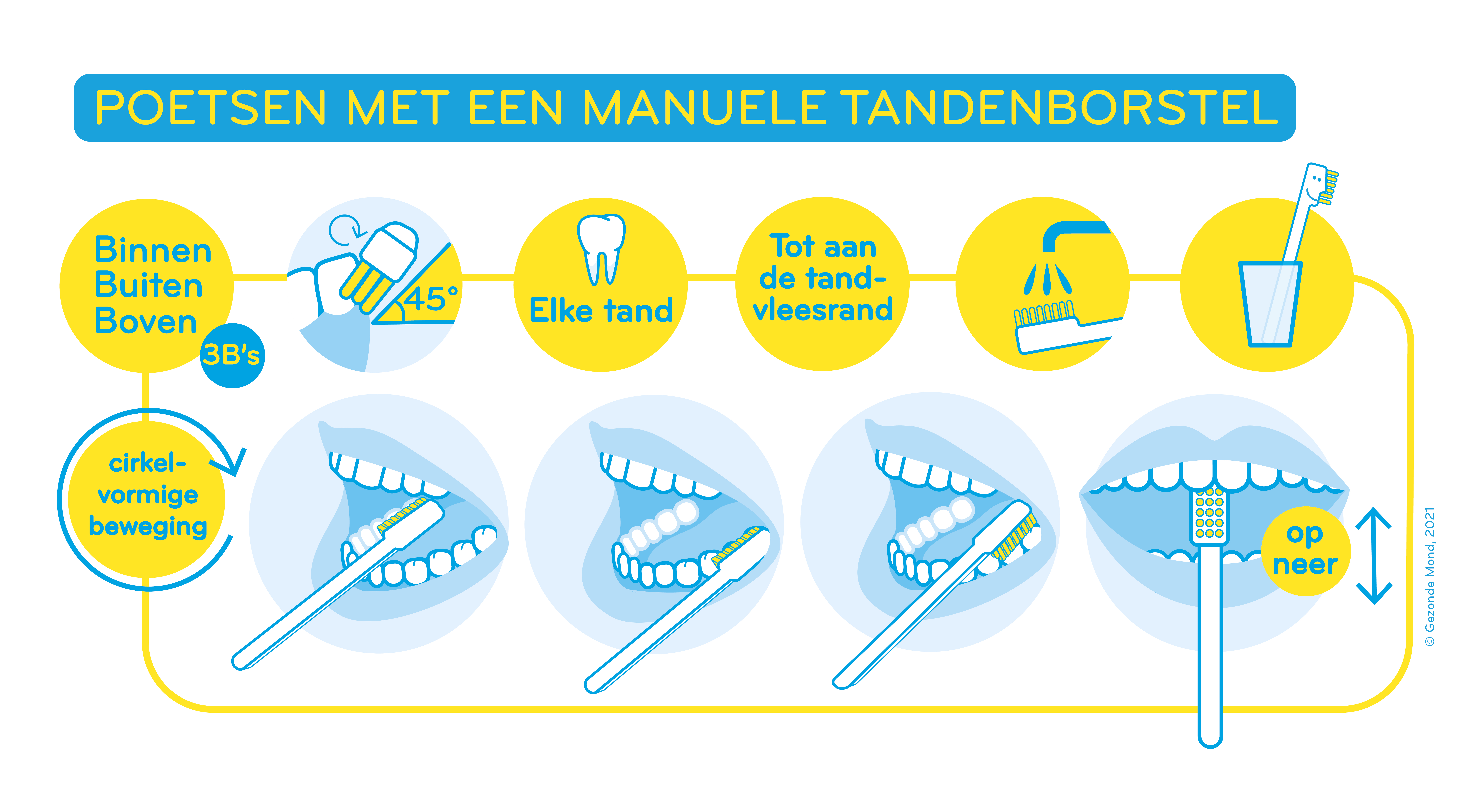 Figuur manueel poetsen voor personen ouder dan 12 jaar. Volgens de drie B's, plaats de tandenborstel op een hoek van 45 graden, poets elke tand tot aan de tandvleesrand,  gebruik een cirkelvormige beweging. 